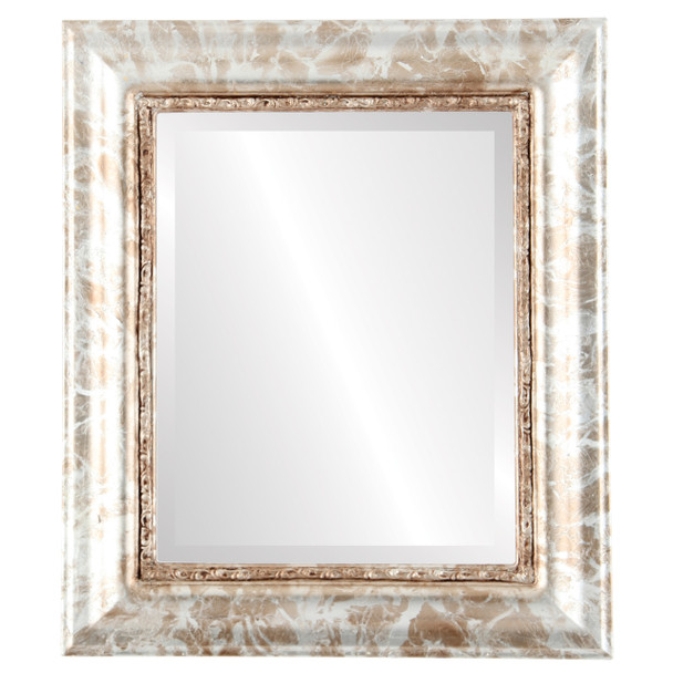 Chicago Beveled Rectangle Mirror Frame in Champagne Silver