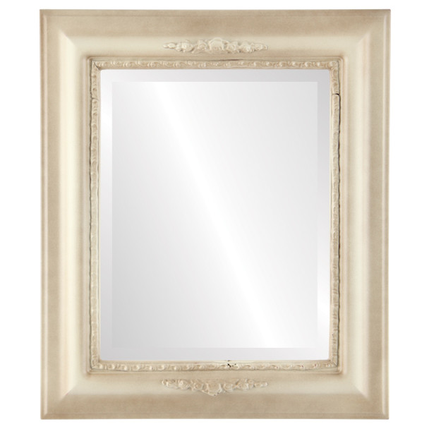 Boston Beveled Rectangle Mirror Frame in Taupe