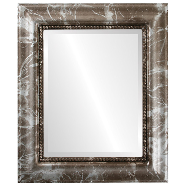 Heritage Beveled Rectangle Mirror Frame in Champagne Silver