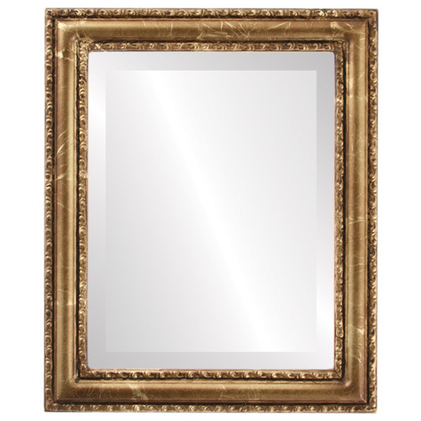 Dorset Beveled Rectangle Mirror Frame in Champagne Gold