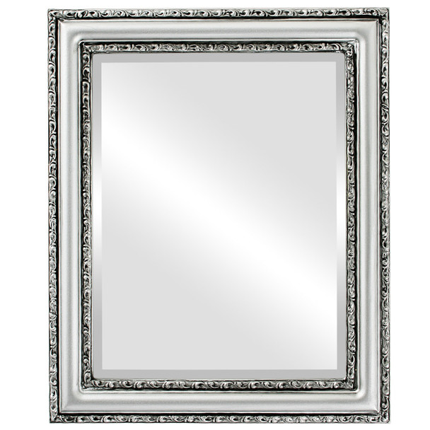 Dorset Beveled Rectangle Mirror Frame in Silver Spray