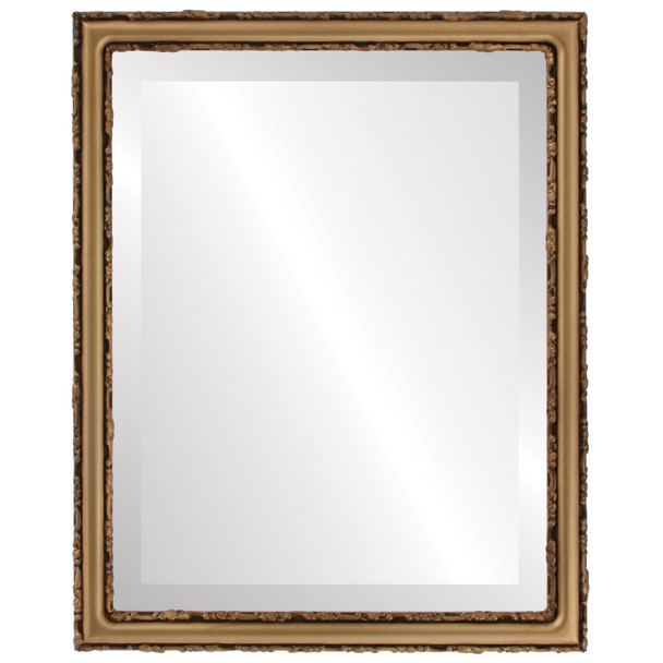 Virginia Beveled Rectangle Mirror Frame in Desert Gold