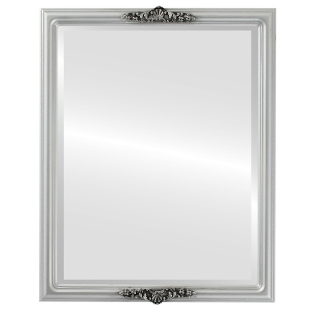 Contessa Beveled Rectangle Mirror Frame in Silver Spray