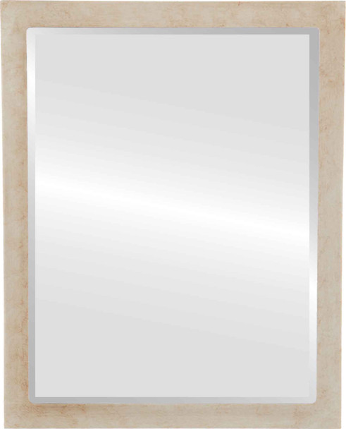 Manhattan Beveled Rectangle Mirror Frame in Burnished Silver