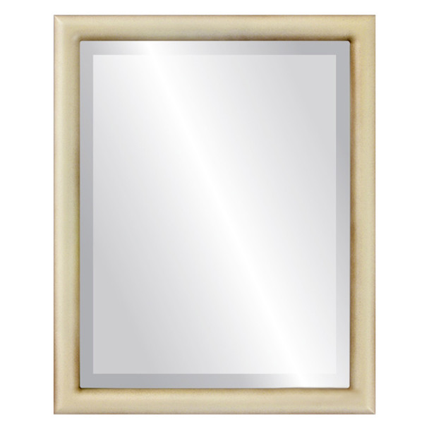 Pasadena Beveled Rectangle Mirror Frame in Taupe