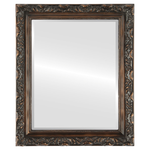 Rome Beveled Rectangle Mirror Frame in Rubbed Bronze