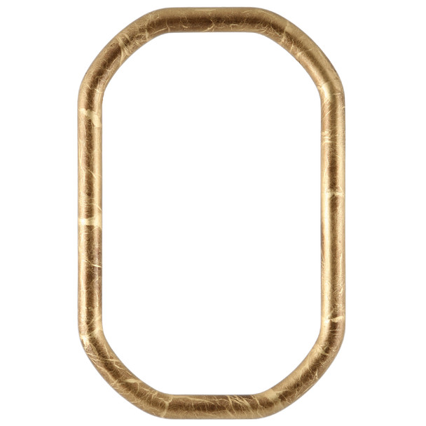 Pasadena #250 Octagon Picture Frame - Champagne Gold | Victorian