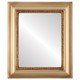 Chicago Flat Rectangle Mirror Frame in Desert Gold