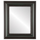 Chicago Flat Rectangle Mirror Frame in Hunter Green