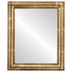 Philadelphia Flat Rectangle Mirror Frame in Champagne Gold