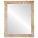 Vienna Flat Rectangle Mirror Frame in Burnished Silver