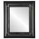 Imperial Flat Rectangle Mirror Frame in Matte Black with Silver Lip