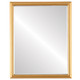 Hamilton Flat Rectangle Mirror Frame in Gold Spray with Silver Lip