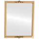 Contessa Flat Rectangle Mirror Frame in Gold Spray