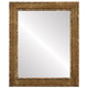 Monticello Flat Rectangle Mirror Frame in Champagne Gold