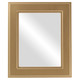 Montreal Flat Rectangle Mirror Frame in Desert Gold