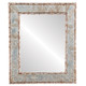 Paris Flat Rectangle Mirror Frame in Champagne Silver