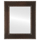 Paris Flat Rectangle Mirror in Rubbed Bronze