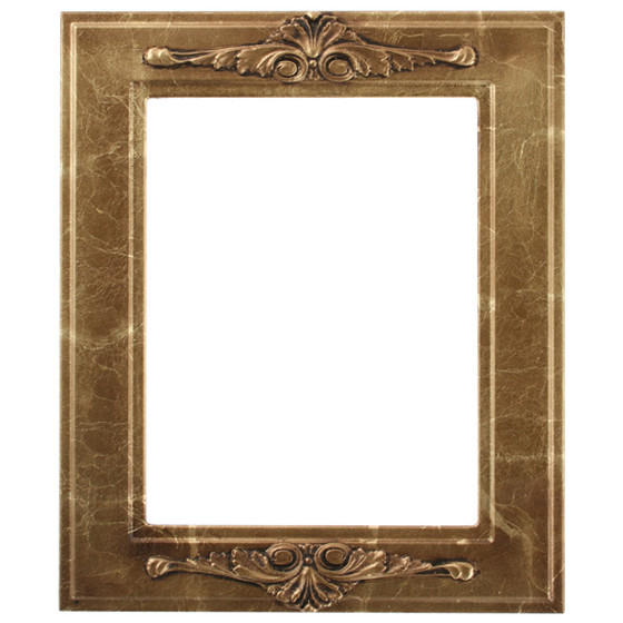 Toronto Rectangle Picture Frame - Champagne Gold