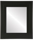 Palomar Flat Rectangle Mirror Frame in Matte Black