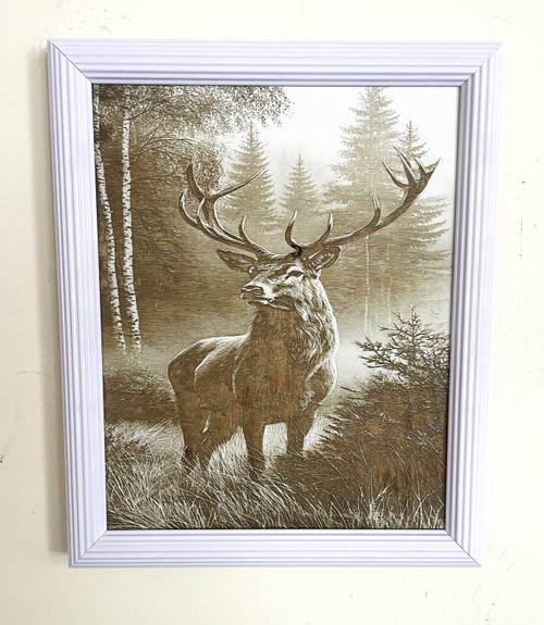 Wall Art - Words of Wisdom / HD-WAWI-2012: Stag - 8 x 10 Engraving - White Frame