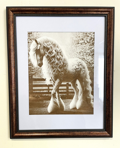 Wall Art - Words of Wisdom / HD-WAWI-8019: Engraved Image: White Horse - 8 x 11 Engraving - Brown Frame