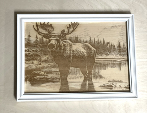 Wall Art - Words of Wisdom / HD-WAWI-406: Engraved Image: Moose - 8 x 11 Engraving - White Frame