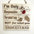 Wall Art - Words of Wisdom / HD-WAWI-1728: I'm only Responsible (Natural) - 5-Panel-Sign