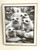 Wall Art - Words of Wisdom / HD-WAWI-8011: Engraved Image: Seal Pups - 8 x 11 Engraving - White and Gold Frame
