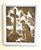 Wall Art - Words of Wisdom / HD-WAWI-200: Engraved Image: What have we Done - 8 x 10 Engraved Picture with White Frame