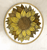 Wall Art - Words of Wisdom / HD-WAWI-3006: 2-Tier-Tray - Intricate Design