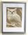 Wall Art - Words of Wisdom / HD-WAWI-8001: Engraved Image: White Owl - 8 x 11 Engraving - Silver Frame