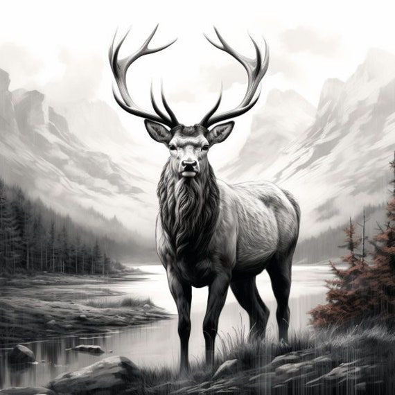 Wall Art - Words of Wisdom / HD-WAWI-401: Engraved Image: Elk - 8 x 11 Engraving
