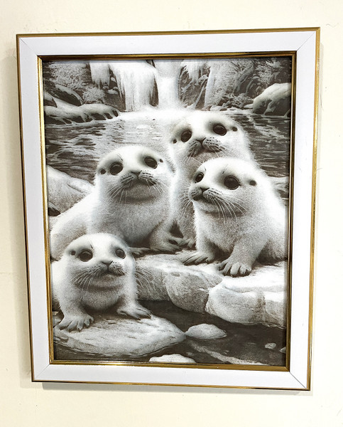 Wall Art - Words of Wisdom / HD-WAWI-8011: Engraved Image: Seal Pups - 8 x 11 Engraving - White and Gold Frame
