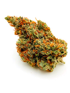 HEMPBEST "Lifter" organic No Till / Living Soil Hemp Flower HEMPBEST "Lifter" organic No Till / Living Soil Hemp Flower