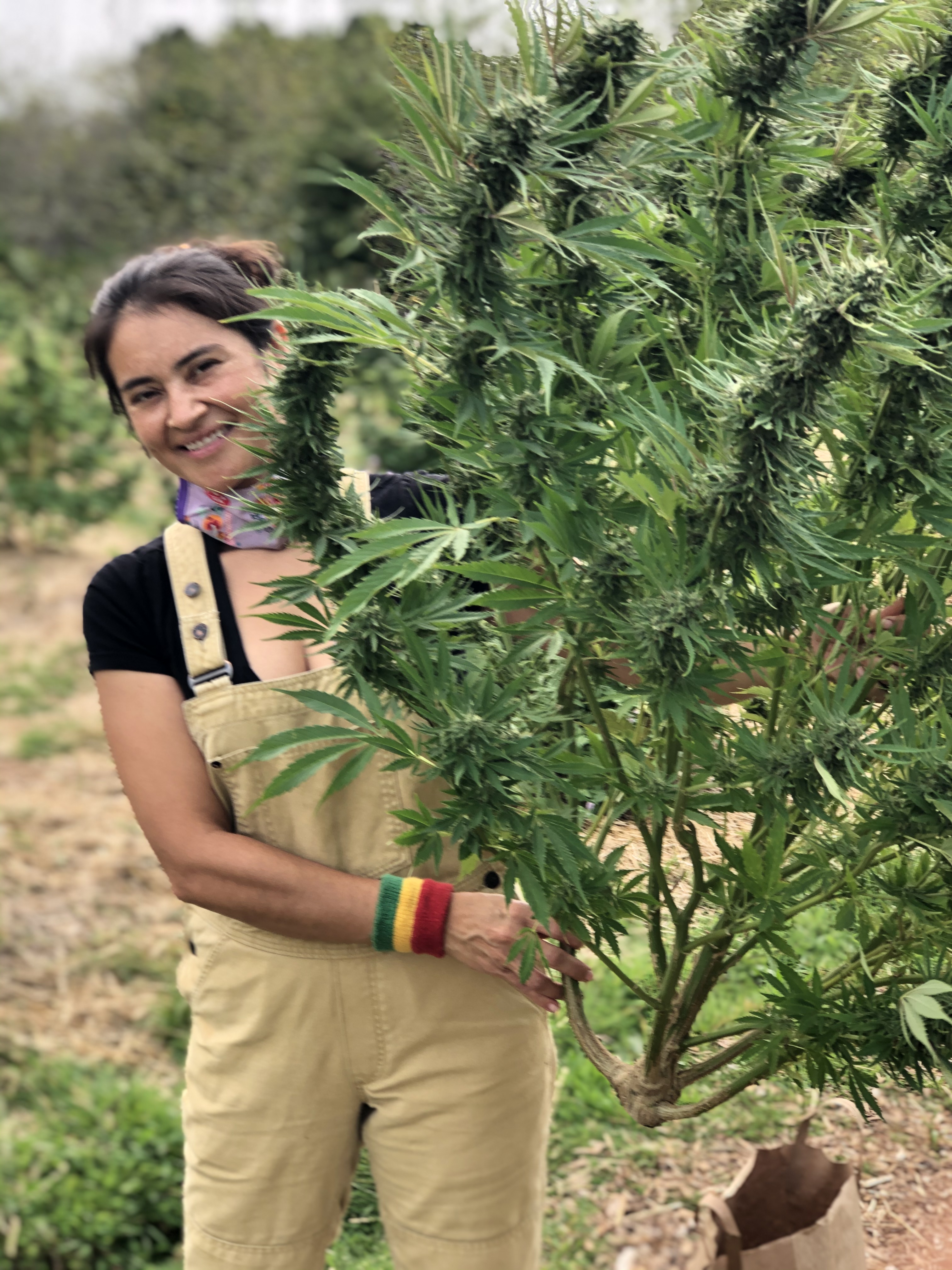 Jyl smiling with harvested hemp CBD plant in the HEMPBEST field