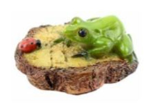 Frog and Ladybird on lilypad