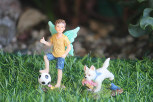 Fairy Rory and his ball