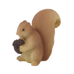 Squirrel with nut