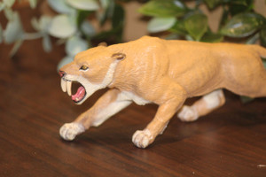 Smilodon Sabre Tooth Tiger