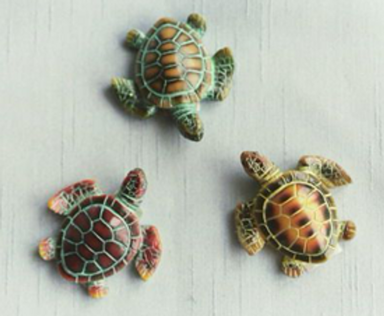 Mini Turtles