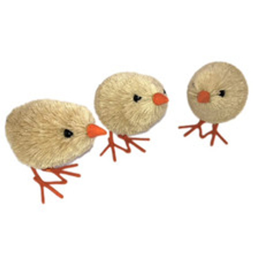 Chick baby (set of 3)