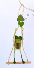 Frog on Swing (Single) 20cm