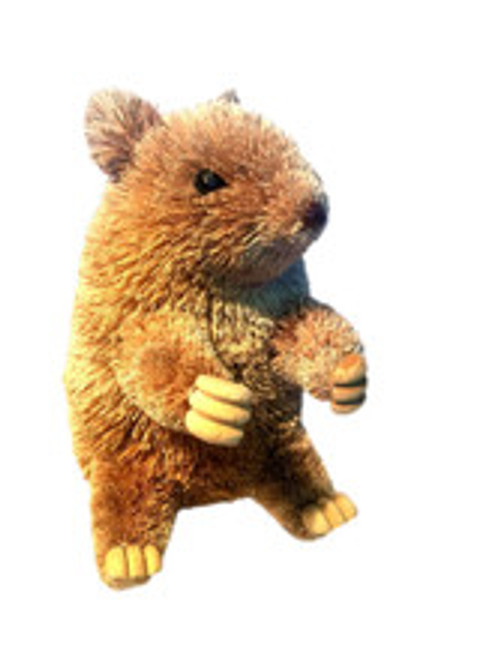 Wombat Sitting - LARGE