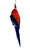 Christmas Ornament - Crimson Rosella 7-9cm