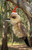 Christmas Ornament - Kookaburra 7-9cm