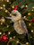 Christmas Ornament - Kookaburra 7-9cm