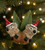 Christmas Ornament - Twin Gumnut Babies 9-10cm
