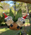 Christmas Ornament - Twin Gumnut Babies 9-10cm