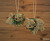 Christmas Decoration Koalas - Set of 2 16cm